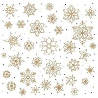 Set of snowflakes, different shapes and sizes on a white background vector