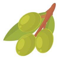 Green olives icon cartoon vector. Olive food vector