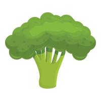 Harvest broccoli icon, cartoon style vector