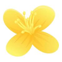 Celandine flower aromatherapy icon, cartoon style vector