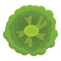 Grocery broccoli icon, cartoon style vector