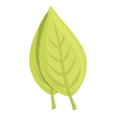 Tobacco green leaf icon cartoon vector. Smoke pack 14339930 Vector Art at  Vecteezy