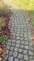 Walking along an old cobblestone way in a garden. video