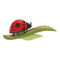 Leaf ladybug icon cartoon vector. Ladybird spring vector