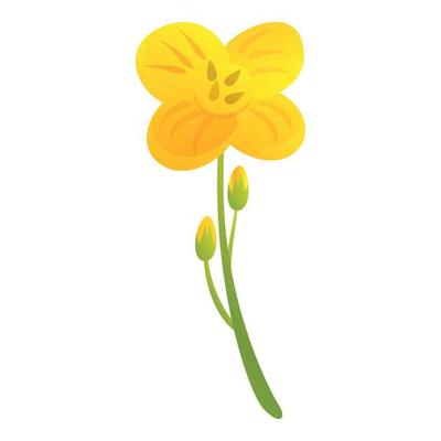 Canola bio eco plant icon, cartoon style