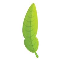 Bergamot leaf icon, cartoon style vector