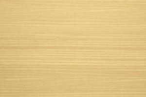 Texture of wood pattern background photo