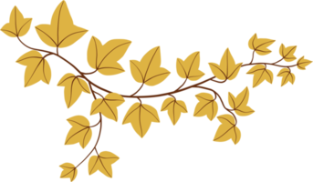 Simplicity ivy freehand drawing png