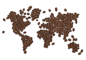 Freehand drawing of coffee bean arrange in world map. png