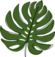 simplicity monstera leaf freehand continuous line drawing png