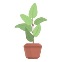 Ficus plant pot icon, cartoon style vector