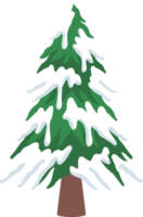 Watercolor Snowy Fir Tree png