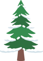 Snow Pine Tree Watercolor png