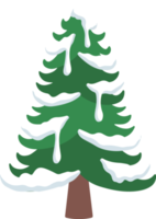 Watercolor Snowy Fir Tree png