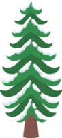 aquarelle de pin des neiges png