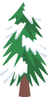 Watercolor Snowy Fir Tree png