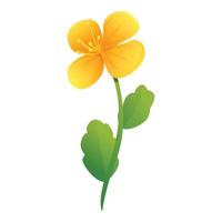 Celandine garden flower icon, cartoon style vector