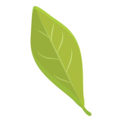 Chestnut tree leaf icon, cartoon style