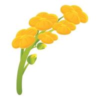 Canola icon, cartoon style vector