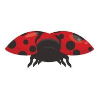 Ladybird icon cartoon vector. Ladybug insect vector