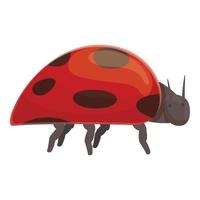 Lady beetle icon cartoon vector. Ladybug spring