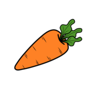 Carrot illustration. Stock png. png