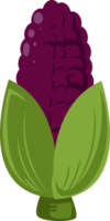 fresh purple corn or maize png