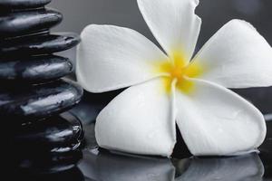 hermosa flor de plumeria y piedras calientes de spa foto