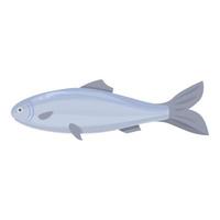 vector de dibujos animados de icono de arenque báltico. pescado de mar