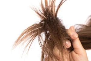 condición de salud del cabello femenino sobre fondo blanco foto