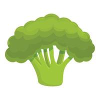 Ripe broccoli icon, cartoon style vector