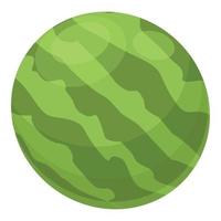 Watermelon icon cartoon vector. Summer fruit vector