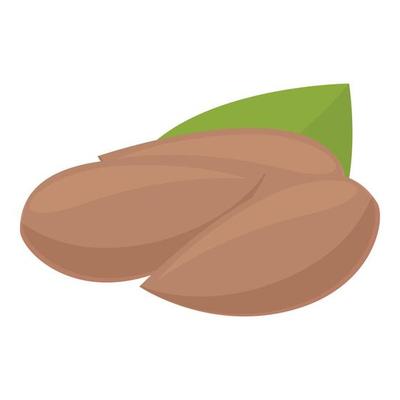 Lutein nuts icon cartoon vector. Dietary food