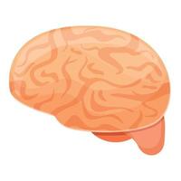 Human brain education icon, cartoon style vector