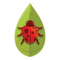 vector de dibujos animados de icono de mariquita de planta. insecto mariquita