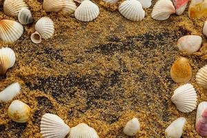 Different seashells and sand photo