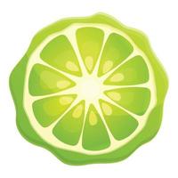 Bergamot juice slice icon, cartoon style vector