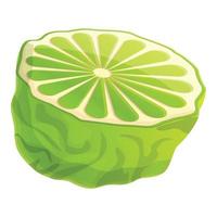 icono de media pieza de bergamota, estilo de dibujos animados vector