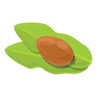 On leaf shea tree green nut icon, cartoon style vector