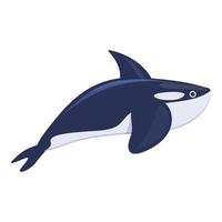 Killer whale icon, cartoon style vector