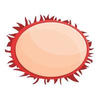 vector de dibujos animados de icono de rambután de vista superior. rambután fresco