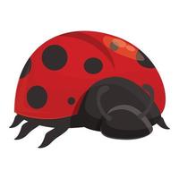 Summer ladybug icon cartoon vector. Ladybird bug vector