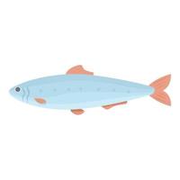 vector de dibujos animados de icono de sardina del Pacífico. pescados y mariscos