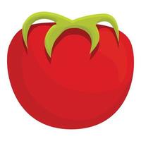 Red tomato icon cartoon vector. Food organic vector