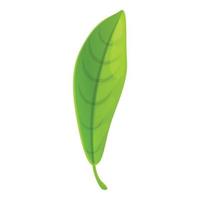 Bergamot long leaf icon, cartoon style vector