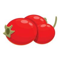 Hawthorn fruits icon, cartoon style vector