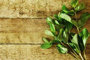 Bunch of fresh mint on wooden table photo