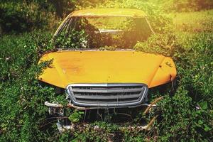 Old car inside the thickets of grass photo