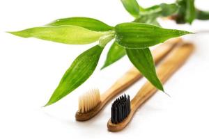 Eco friendly toothbrushes and bamboo plant on white photo