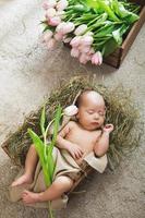 un lindo bebé está tirado en la caja de madera y un montón de tulipanes rosas